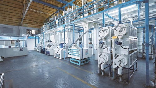 盛宝盛妆亮相深圳博览会 科技赋能高端食品与农产品新未来